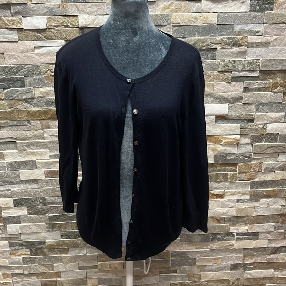 Ann Taylor Men's Deep Blue Sweater